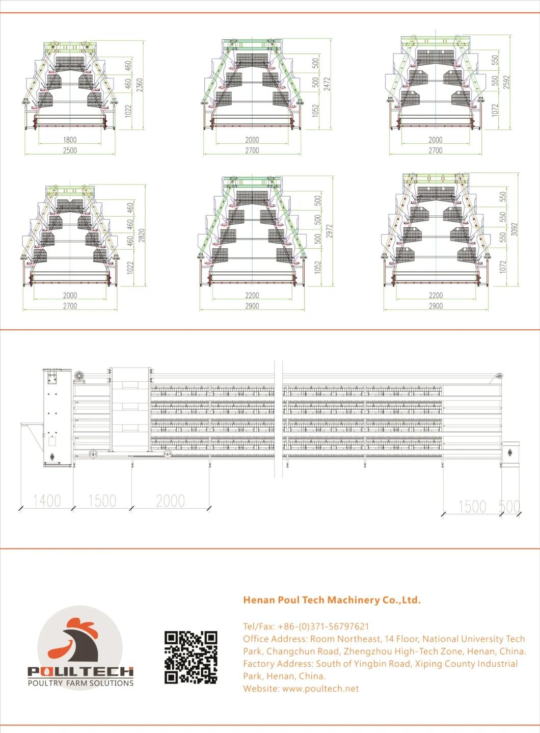 a Type Layer Cage Raising Equipment for 65000 Birds Layer Project