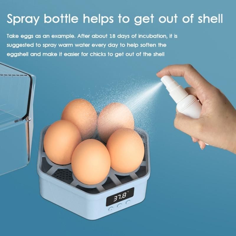 Super Small Hatching Chicken 5 Eggs Parrot Pigeon Quail Eggs DC 12V Automatic Turning Brinsea Mini Egg Incubator