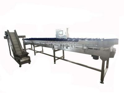 Seafood Processing Equipment Weighing and Grading Machinery