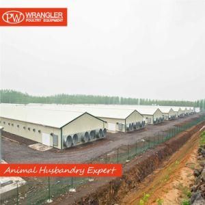 Steel Structure Poultry Farm Shed with Automatic Poultry Farm Equipment
