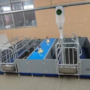 Different Size Customed Livestock Equipment Farrowing Crate