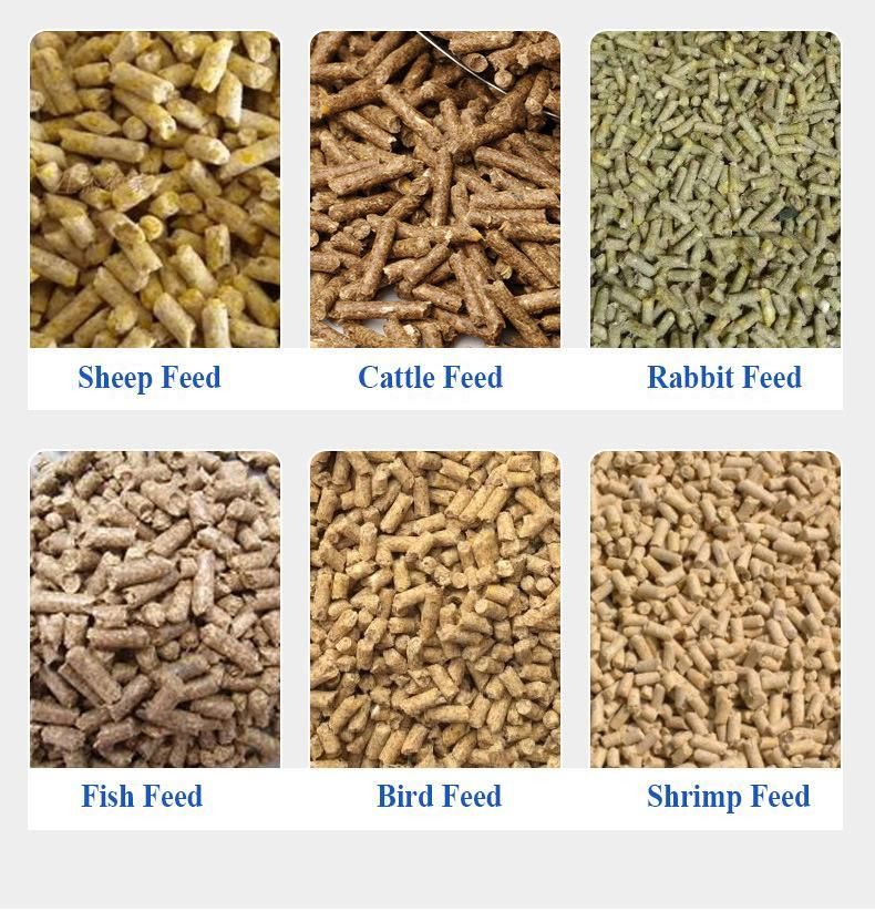 Animal Feed Fish Feed Extruder Equipment Food Processing Machinery Feed Pellet Machine