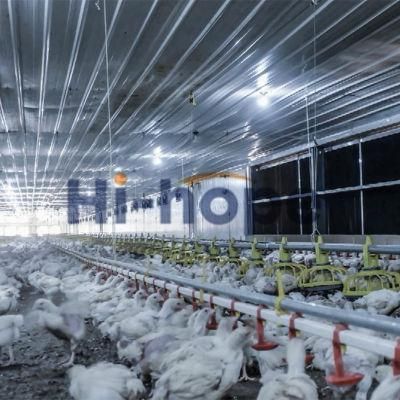 China Factory Price Poultry Broiler Feeder and Drinker Equipment for Sale with House