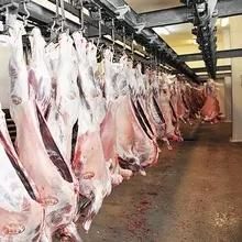 Halal Abattoir Debone Machine for Lamb Slaughter Equipment Slaughterhouse Supplier