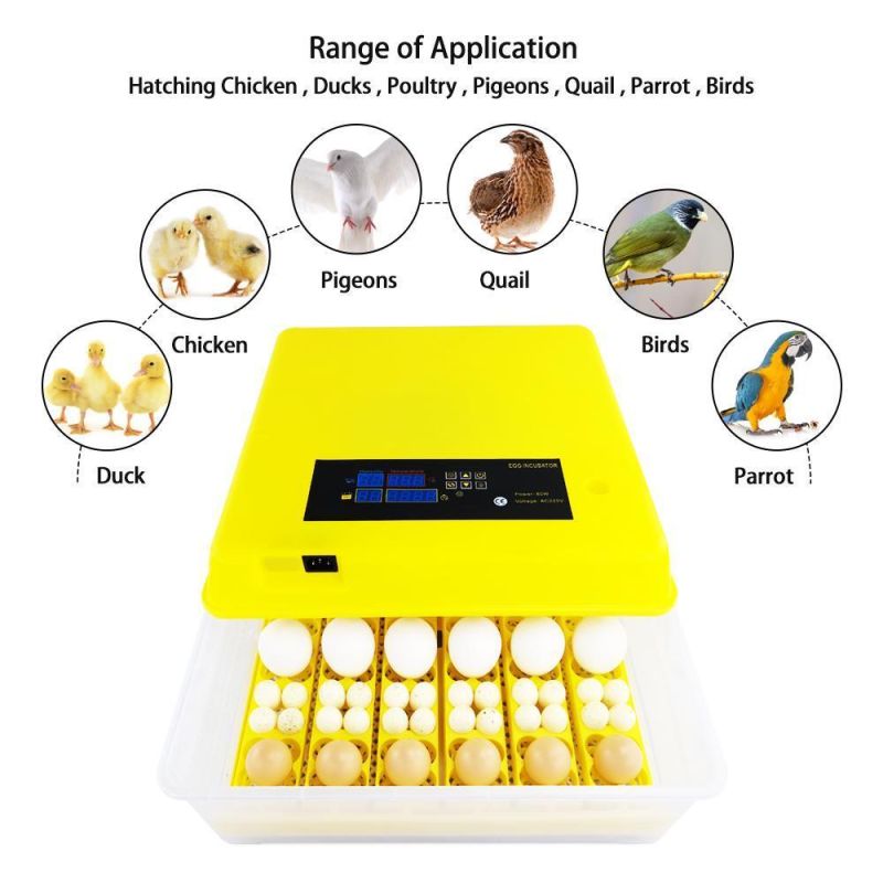 56 PCS Poultry Egg Hatching Machine Chicken Egg Incubator Full Automatic Egg Incubator