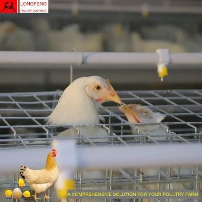 Mature Design, Durable and Sturdy Farming Chicken Cage Poultry Farm Equipment