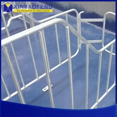 Swine Farm Hot DIP Galvanized Steel Gestation Crates Farrowing Stall