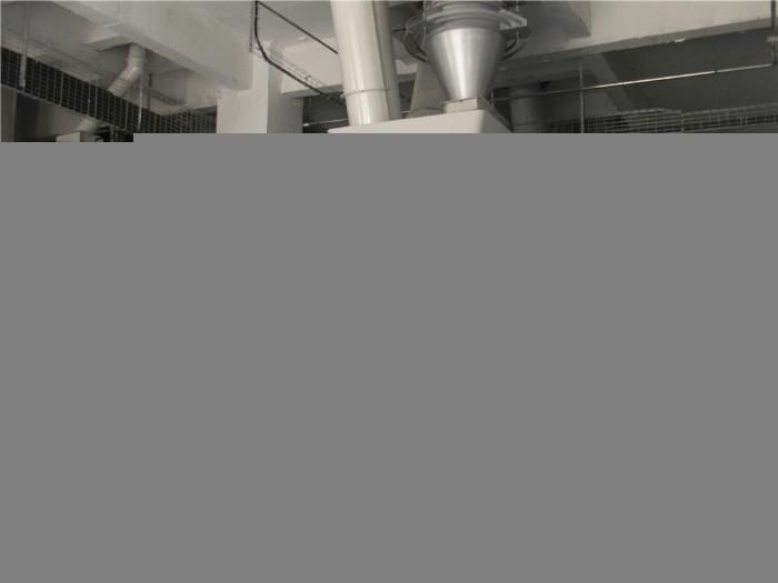 CE Approved Ring Die Animal Food Processing Machinery Line