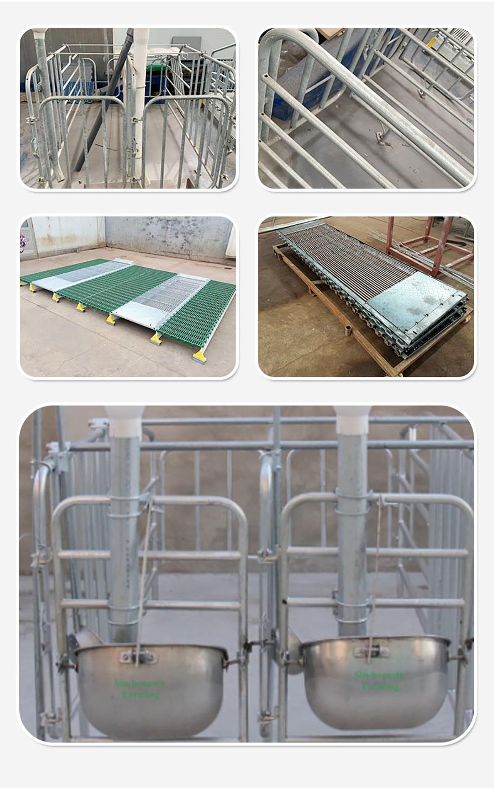 Hot-DIP Zinc Cages for Pig Farms Made in China for Breeding Pregnant Sow Cages