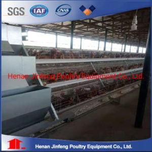 Chicken Layer Poultry Egg Hens Farm Equipment Cage