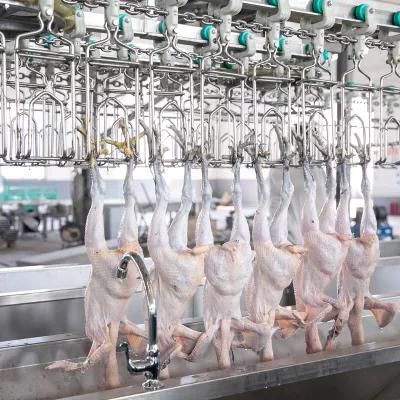 China Compact Chicken Processeing Table Slaughter Line Production