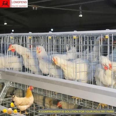 275g Hot Galvanized Wire Mesh and Sheet Poultry Farm Battery Chicken Cage