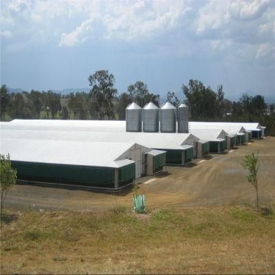 Quickly Assembled Prefabricated High Tech Hot Sale Meat Chicken Farm