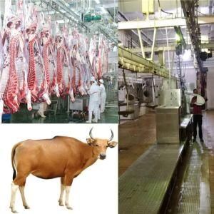 Factory-Direct Supply Cattle Slaughterhouse Equipment for Turnkey Cattle Slaughter Line in Cattle Slaughter House