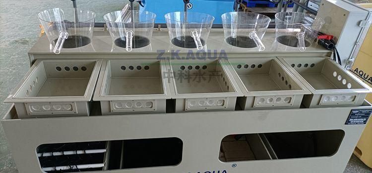 Pisciculture Incubators for Hatching Eggs Tilapia Fish Incubator