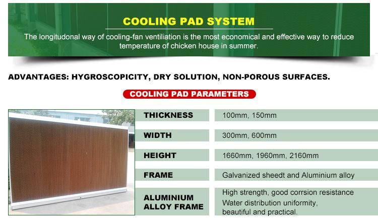 Automatic Poultry Shed Equipment/Chicken Farm Equipment / Complete Farming System