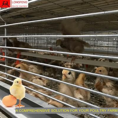 Large Scale High Density Stable Running Good Service Manufacture Electric Poultry Farm Equipment