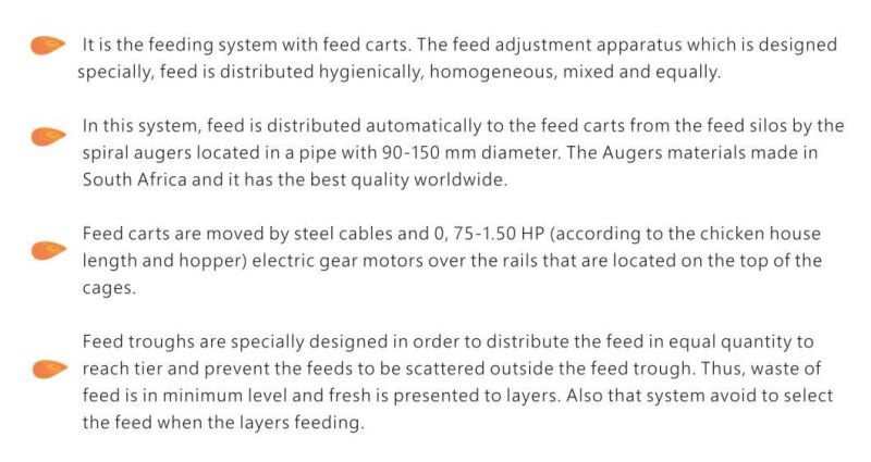 Chicken Cage Poultry Raising Equipment for Large Scale Poultry Farm