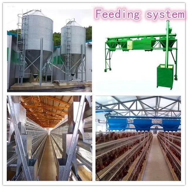 Poultry Farming/Farm Equipment/Machine Broiler Layer High Rate Baby Chicken Cage