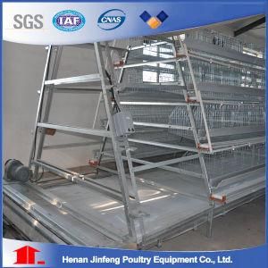 a Type Best Price Poultry Farm Egglayer Chicken Cage