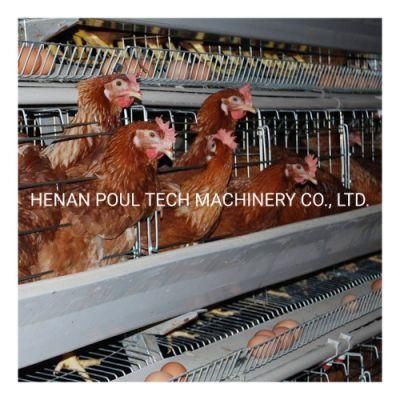 Automatic Battery Layer Chicken Cage Hot Sale Poultry Farm Cage Customized Poultry Battery Cage Automatic System Chicken Cage