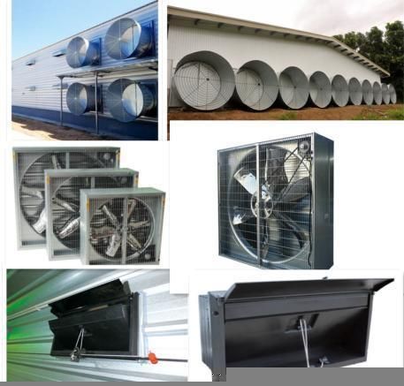 Low Price Poultry Control Shed Equipment for Broiler Chicken