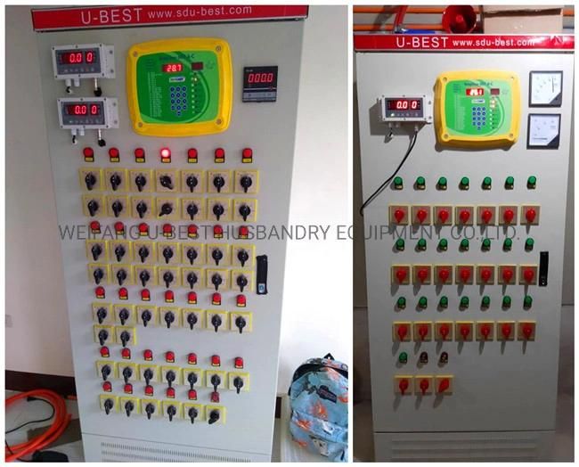 Automatic Ec Chicken House/Shed Equipment with Pan Feeding System and Nipple Drinking System