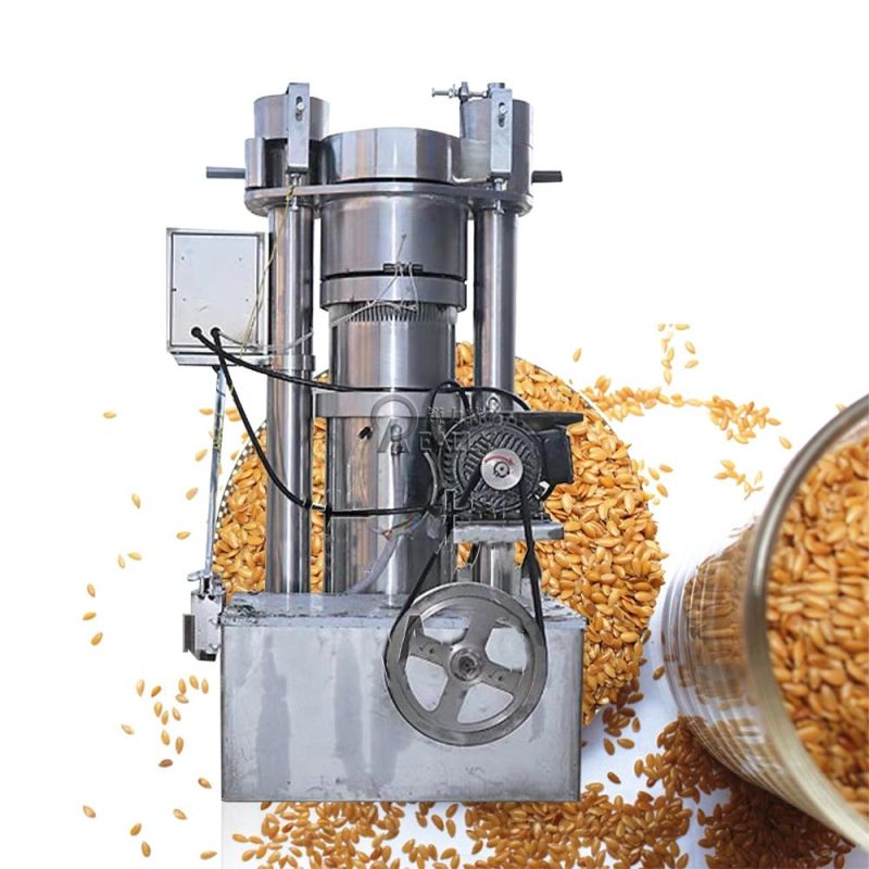 Automatic Hydraulic Cold Oil Extractor Sunflower Seeds Coconut Sesame Peanut Palm Kernel Screw Olive Oil Expeller Extraction Making Machine Business Machine