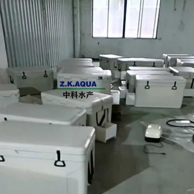 Live Fish Trough High Density Fish Transport Live Fish Trough