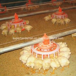 Automatic Poultry Farming Equipment for Breeder Chicken