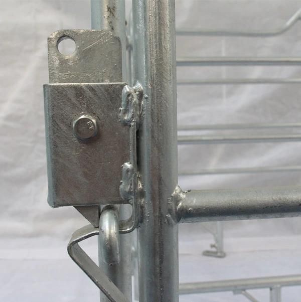 Pig Gestation Crates Piggery Equipment Farrowing Stalls