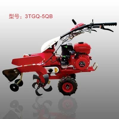 Mini Cash Crop Self-Propelled Ditching Cultivator