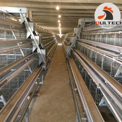Good Price Automatic Layer Chicken Farm Laying Hens Battery Cages