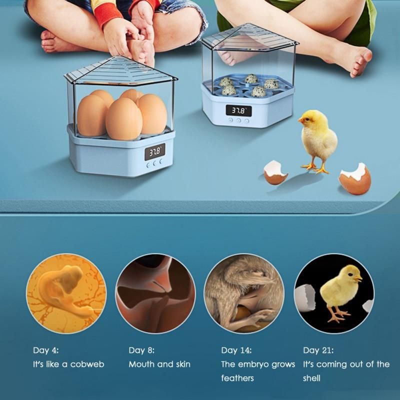 Super Mini 5PCS Automatic Egg Turning Hatching Machine Student Learning Home Egg Incubator