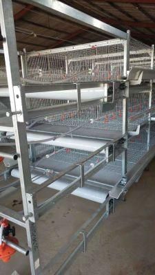 Broilerfactory Poultry Equipment Galvanized Cage H Type Cage