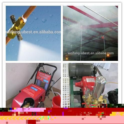 High Quality Automatic Controlled Poultry Farms in Africa for Chicken