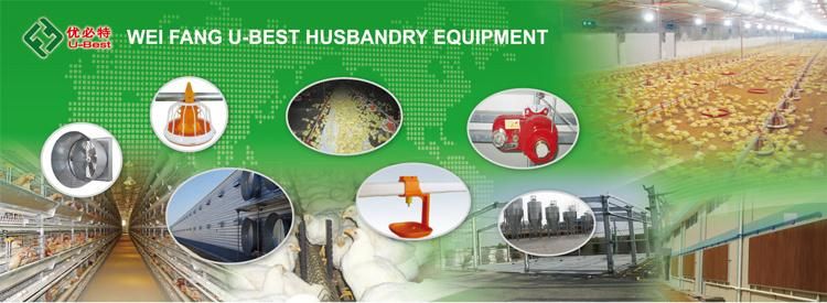 Complete Automatic Poultry Farm Equipment for Broilers and Breeders