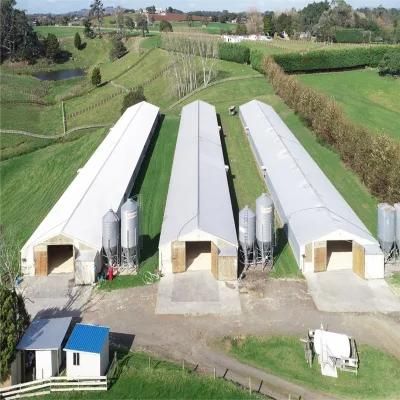 High Quality Easily Assemble Full Automatic Chicken Shed Poultry Machine