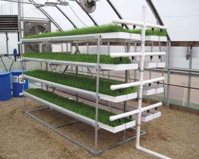 High Quality Indoor Hydroponics Vertical Sprouting Machine Grass Fodder Tray