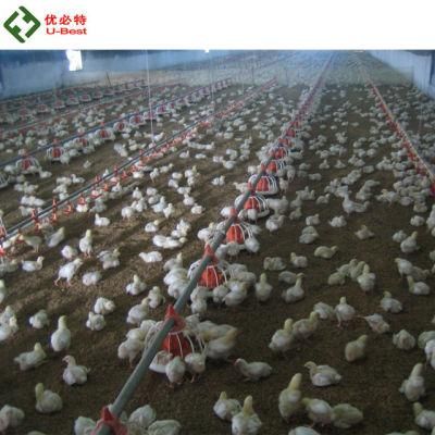Full Automatic Poultry Shed Broiler House Chicken Farm Equipment