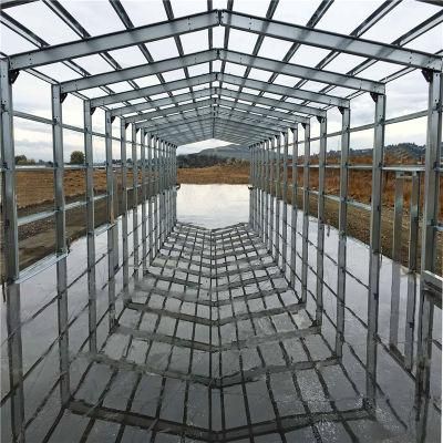 Technical Designed Hot-Sale Quick Built Steel Poultry Farm Equipment