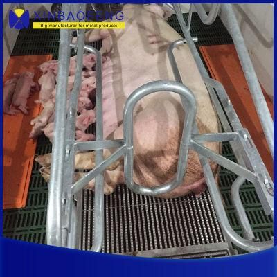 Hot Sale New Design Piglet Nursery Crate Weaner Stall in High Quality