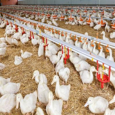 Fast Assemble Hot Sale Automatic Electric Meat Chicken Poultry Coop