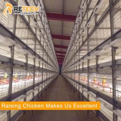 Reinforced automatic poultry farm meat broiler chicken cages for 20000 birds
