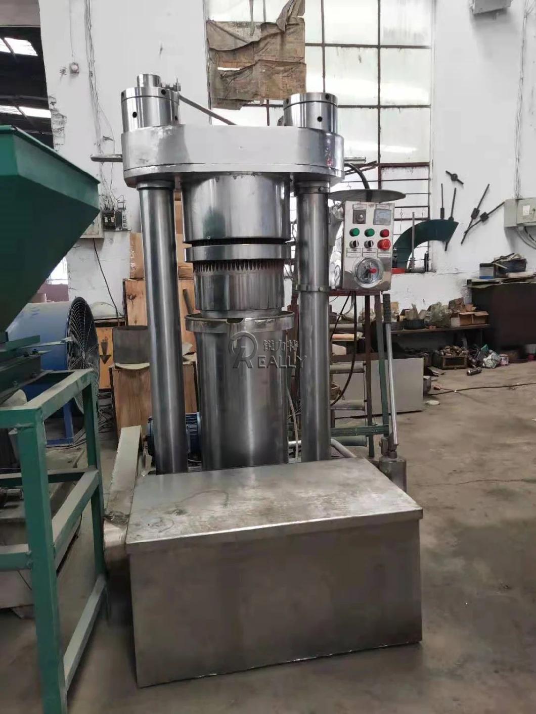 Hydraulic Cold Oil Press Machine Nuts Oil Pressing Industrial Oil Extractor Sunflower Seeds Coconut Oil Expeller Extraction