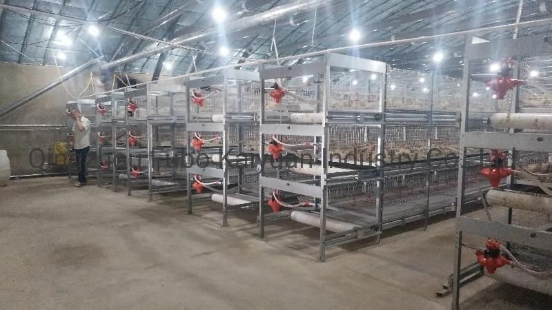 Chicken House/Poultry Equipment Cage System/Drinking Line/Poultry Farm Layer Cages for Broiler/Poultry House
