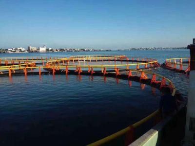 Aquaculture Tools HDPE Pipe Seawater Fish Breeding Cage Culture
