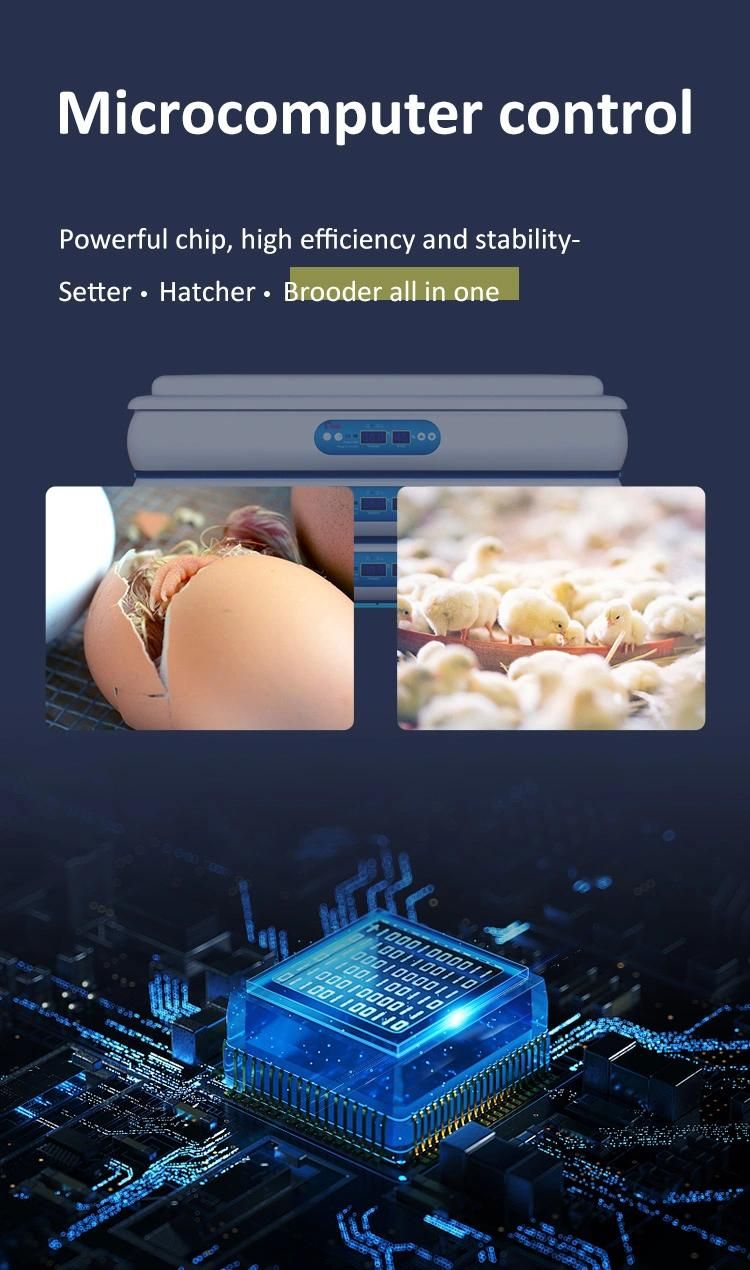Hhd Hot Selling Blue Star 120 Egg Incubator Full Automatic 110V/220V Made in China