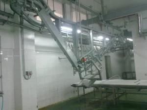 Pig Abattoir Equipment Splitting Saw for Slaughtering Line