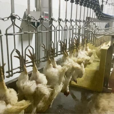 Electric Chicken Shocking Machine Poultry Slaughter Line